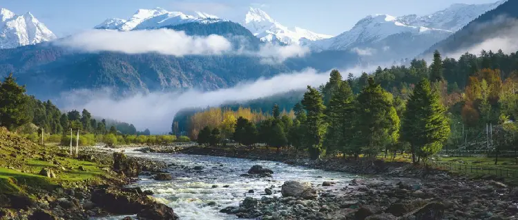 kashmir
