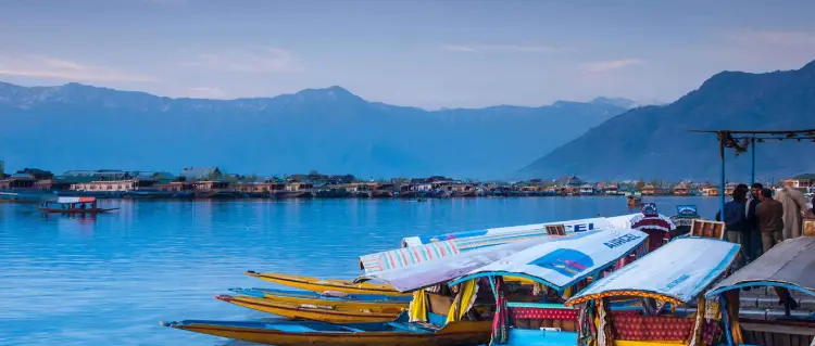 kashmir