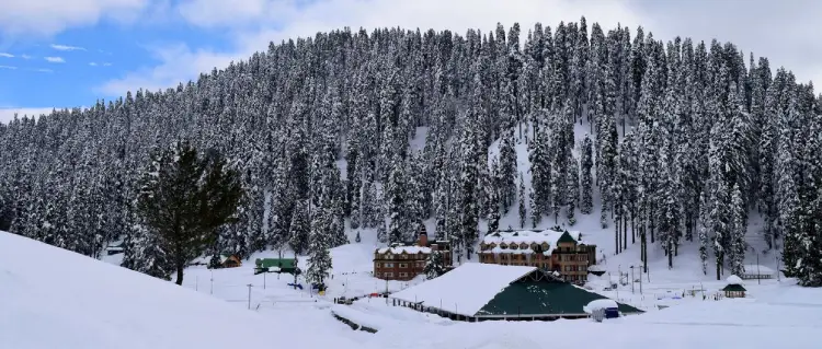 kashmir