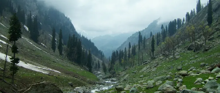 kashmir