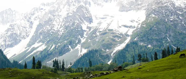 kashmir